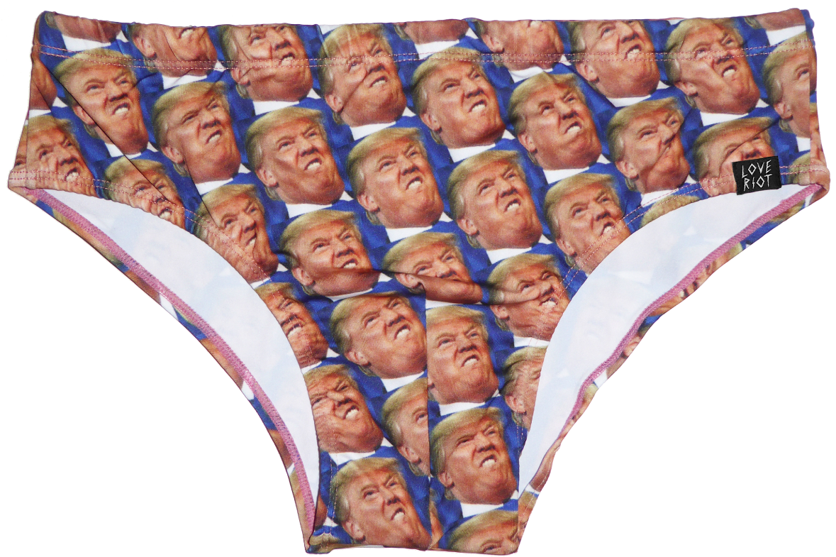 Donald Trunks - Donald Trump Swimming Trunks (1199x879), Png Download