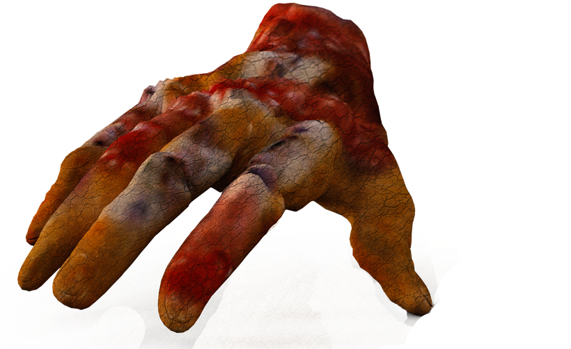 Main Zombie Png - Marine Invertebrates (960x593), Png Download