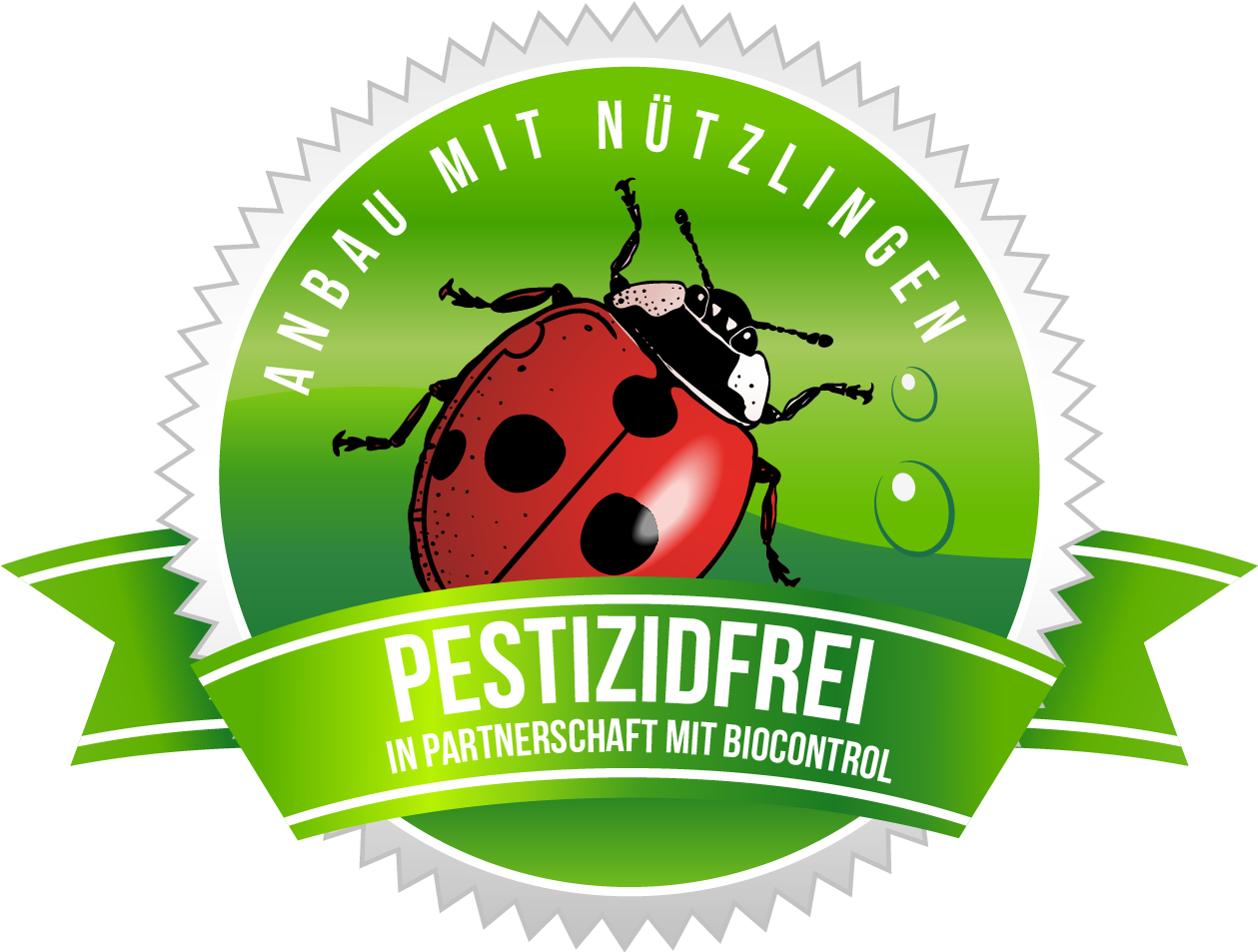 Swiss Weeds Gold - 18 Month Warranty (1258x1020), Png Download