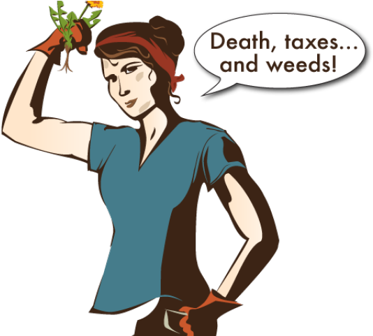 Weed Clipart Lady Gardener - Cartoon (640x480), Png Download