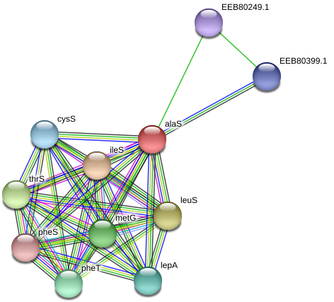 Alas Protein - Circle (976x464), Png Download