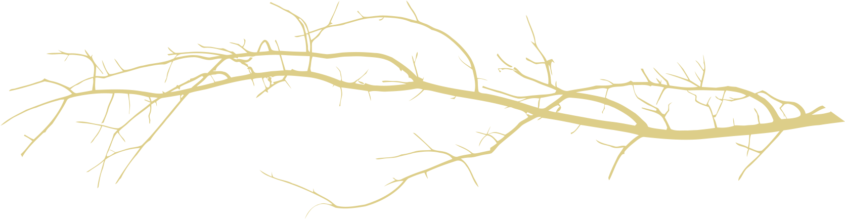 Divider Branch Light 1692×454 - Branch Divider Png (1692x454), Png Download