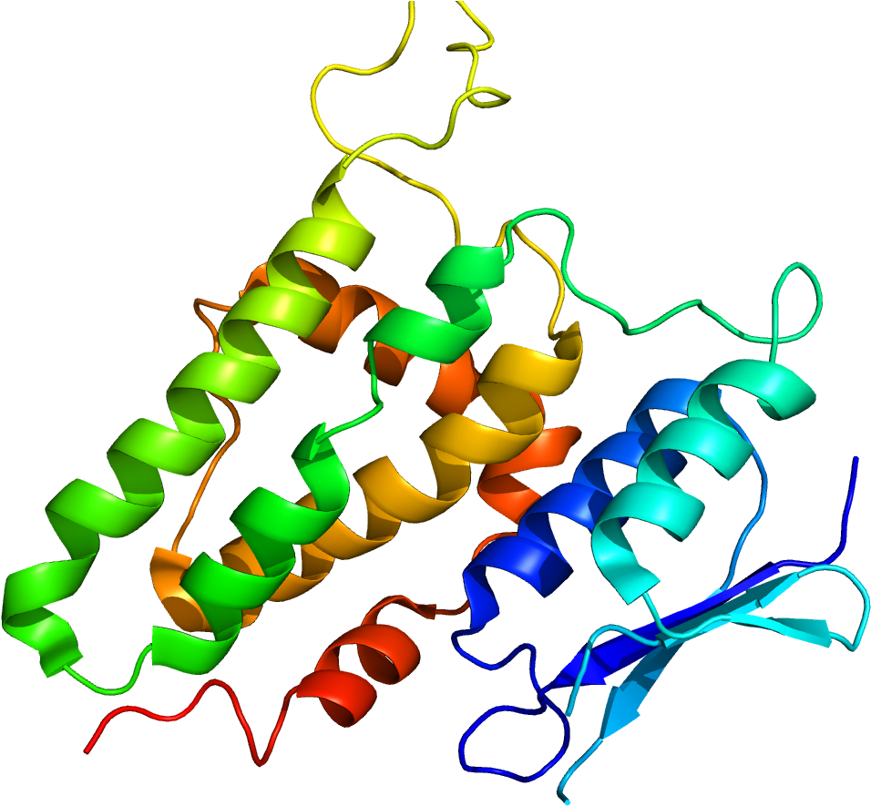 Protein Clic2 Pdb 2per (1200x1000), Png Download