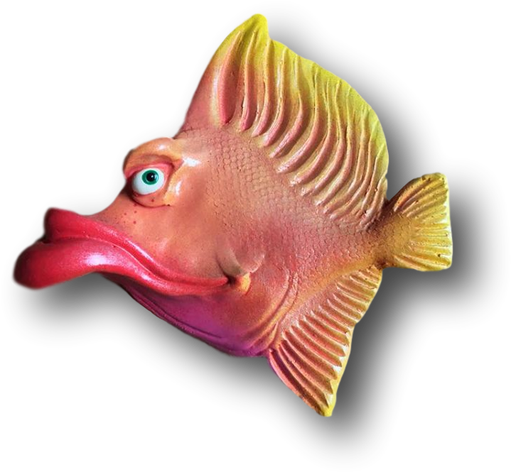 Coral Reef Fish (782x782), Png Download