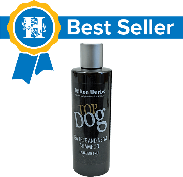 Amc Coupons 2011 (600x600), Png Download