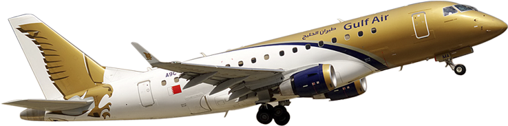 We Offers All Air Lines Tickets And Organise Tours - Boeing 737 Next Generation (960x402), Png Download