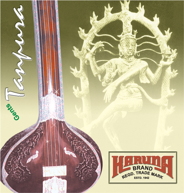 Gents Tanpura Six Strings - Tanpura (700x700), Png Download