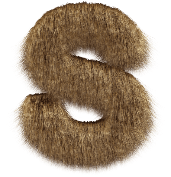Hair Font - Pet An Animal (595x595), Png Download