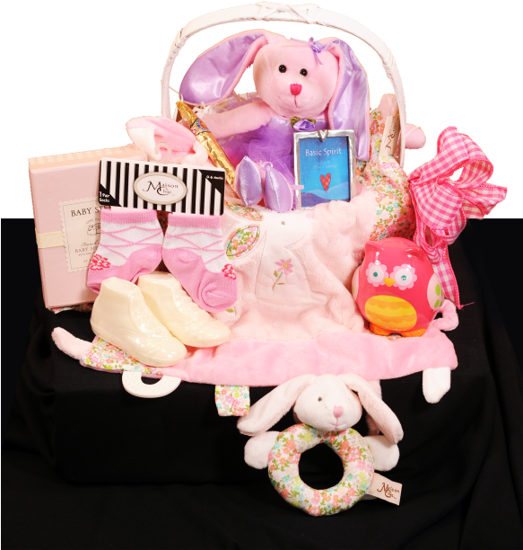 Ultimate Baby Girl Welcome Basket - Baby Toys (600x674), Png Download