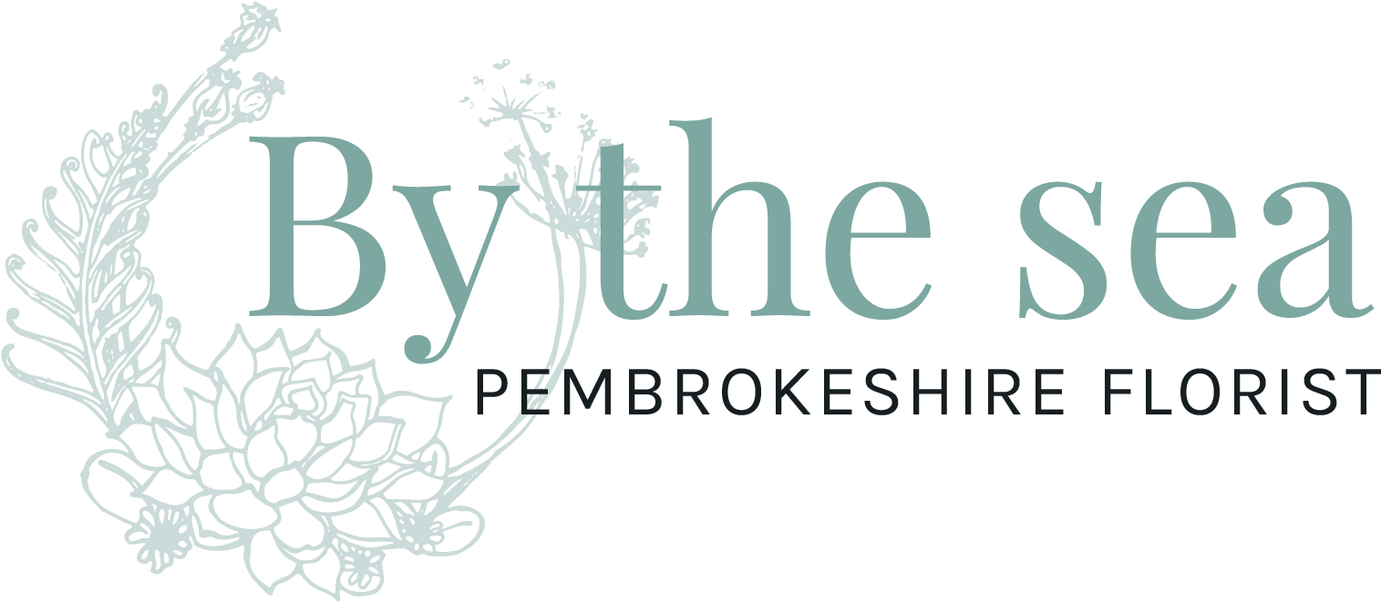 Calligraphy (1601x709), Png Download