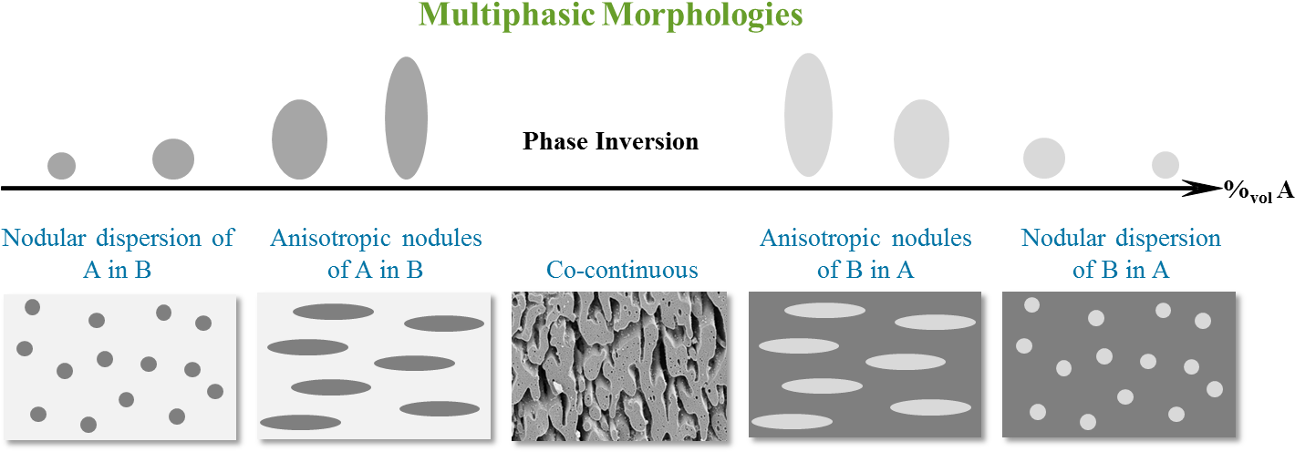 Fractionated Crystallization At Lower Temperature Was - Co Continuous Polymer Blend (1519x528), Png Download