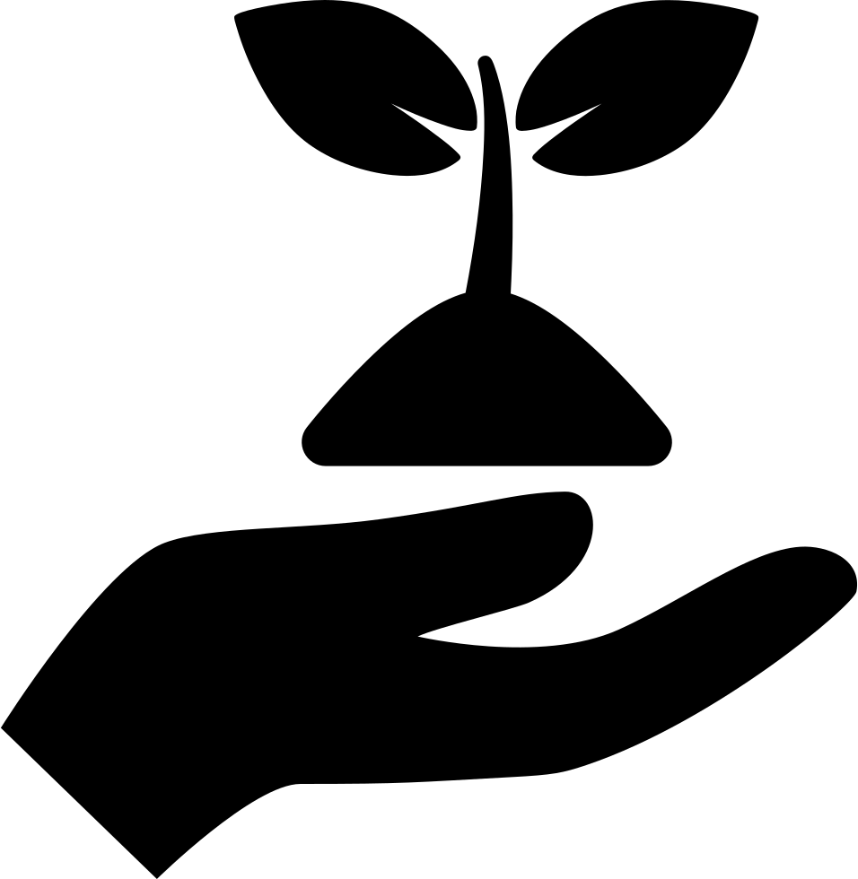 Png File Svg - Hand Holding Plant Icon (956x980), Png Download