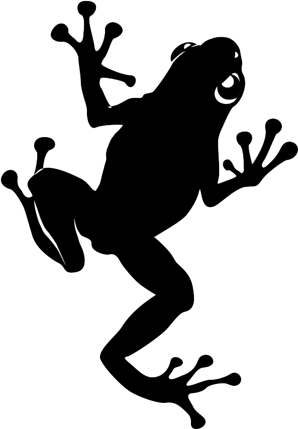 Cropped 48412937 1070201693151715 2213861293817856000 - True Frog (630x871), Png Download