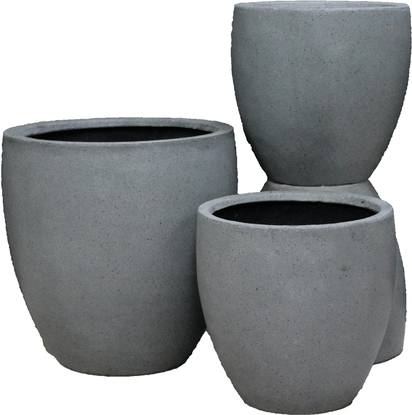 Img 3347 (1000x1000), Png Download