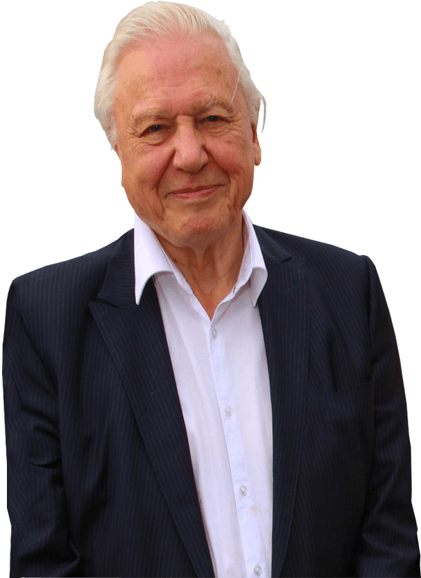 Sir David Attenborough Transparent Background Transparent - David Attenborough No Background (623x835), Png Download
