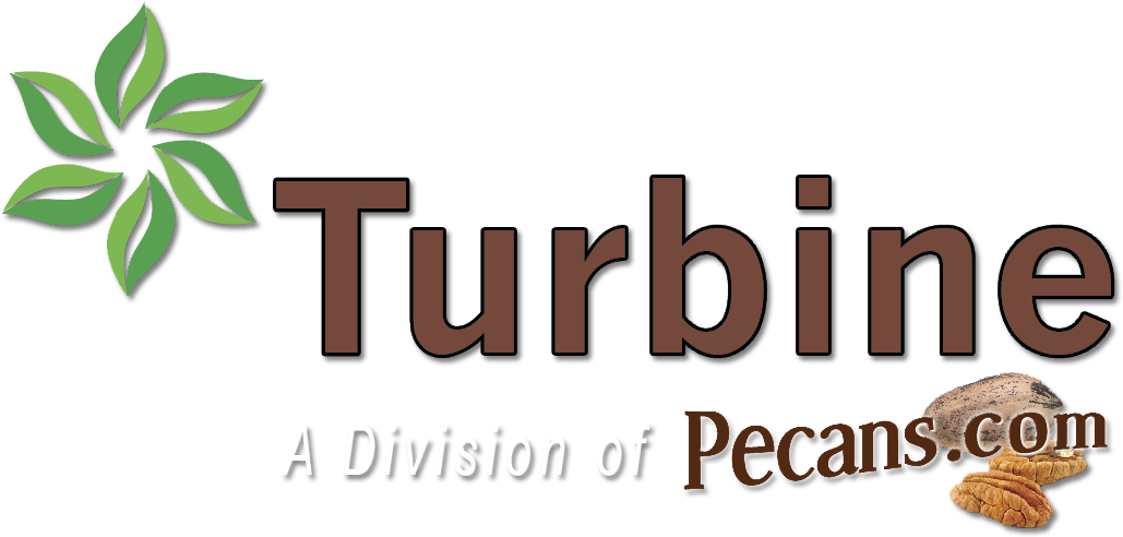 Your Wholesale Source For Unique Texas Themed Souvenirs, - Graphic Design (1070x523), Png Download
