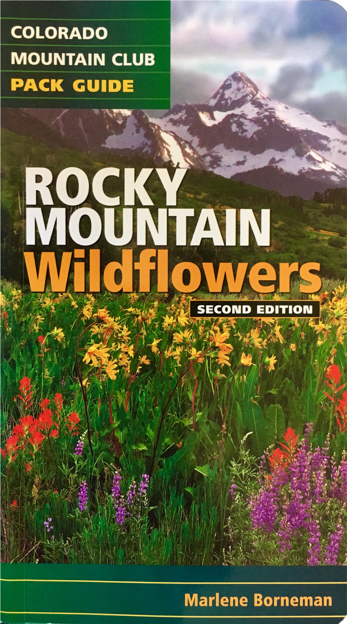 Shop - Tickseed (2048x2048), Png Download