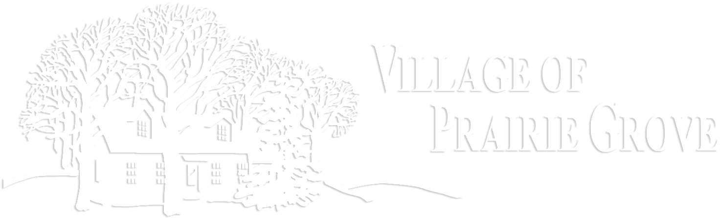 Wildflowers - Illustration (1519x522), Png Download