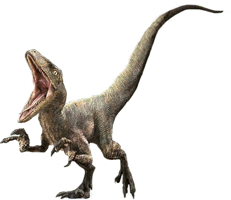 Delta Jurassic Park Wiki - Jurassic World Velociraptor Delta (1181x827), Png Download