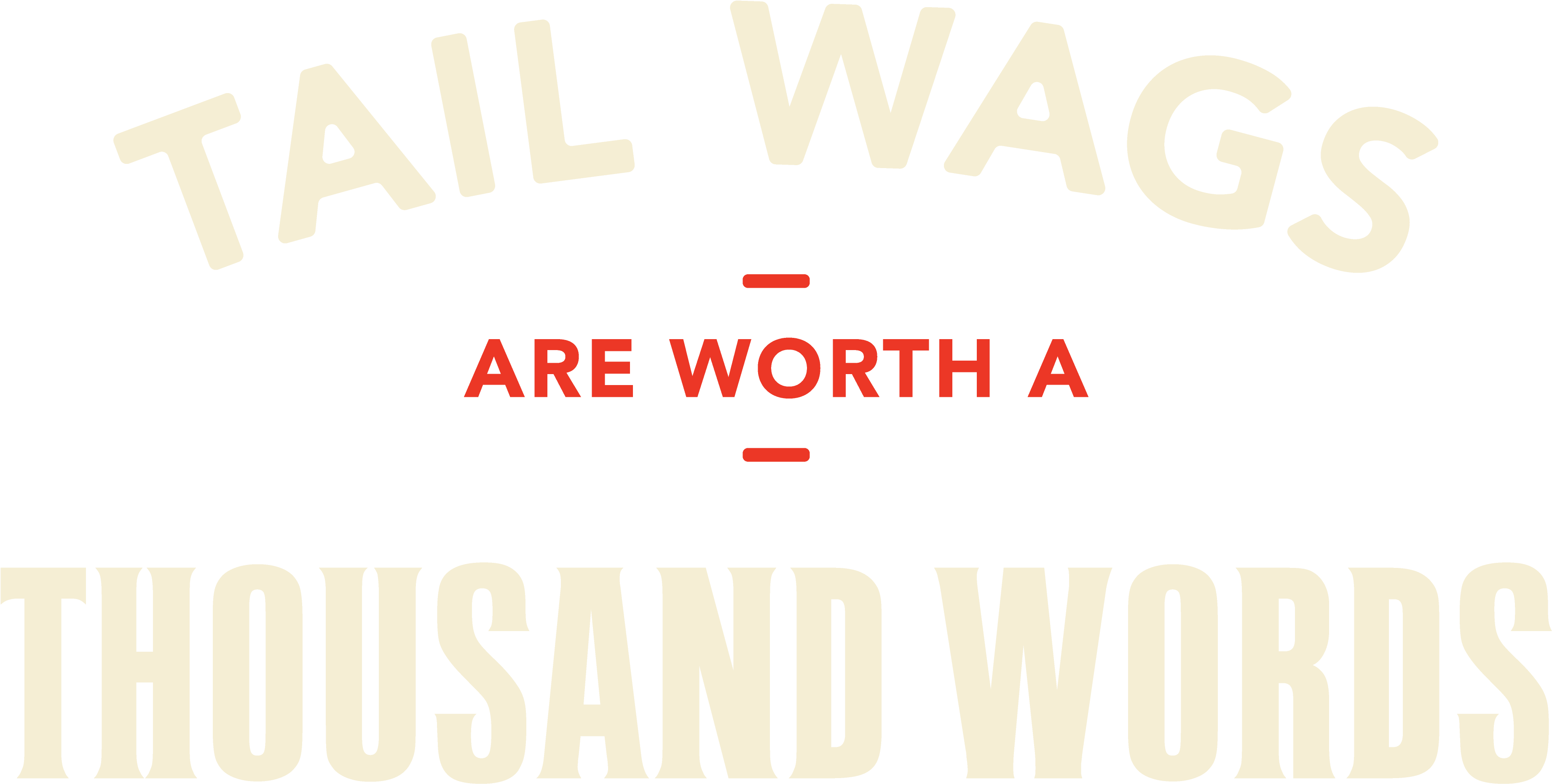 Feeding Raw May Seem Like A Massive Undertaking, Which - Würth (5100x3300), Png Download