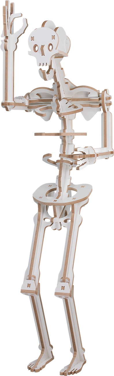 Skull Mannequin (1500x1500), Png Download