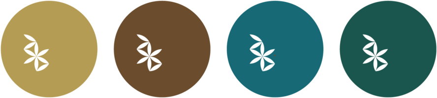 Colorpalette (1000x251), Png Download