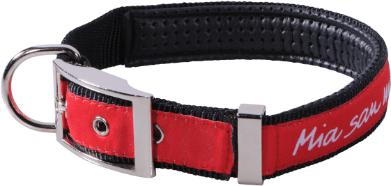 Strap (660x660), Png Download