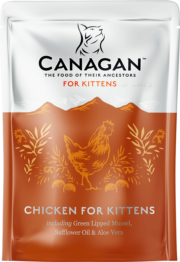 Canagan Pisici (1200x1200), Png Download