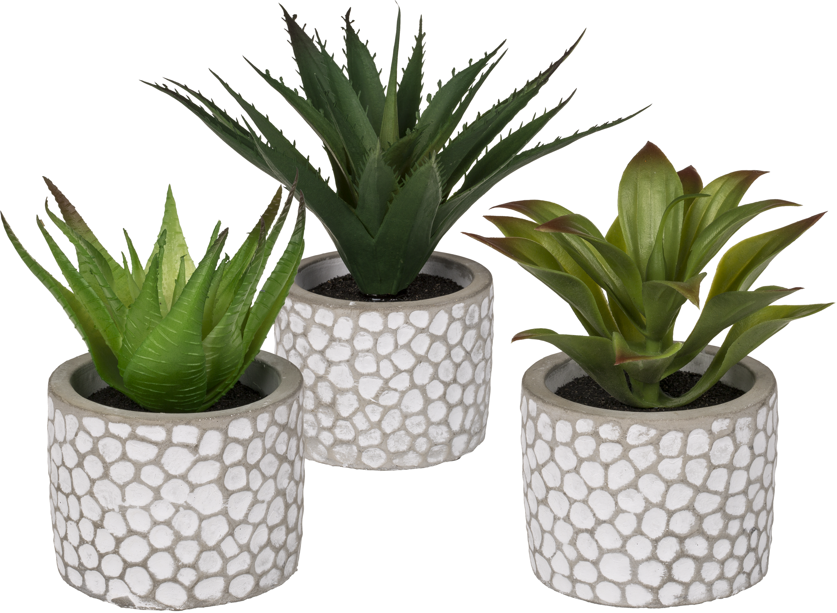 Flowerpot (2835x2126), Png Download