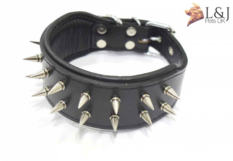 Hand Made Dog Collar, Spiked, French Bulldog Frenchie - Dog (800x800), Png Download