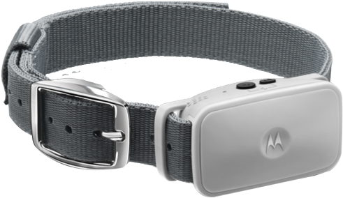 Bark200u Na Fr 2 1 - Strap (700x700), Png Download