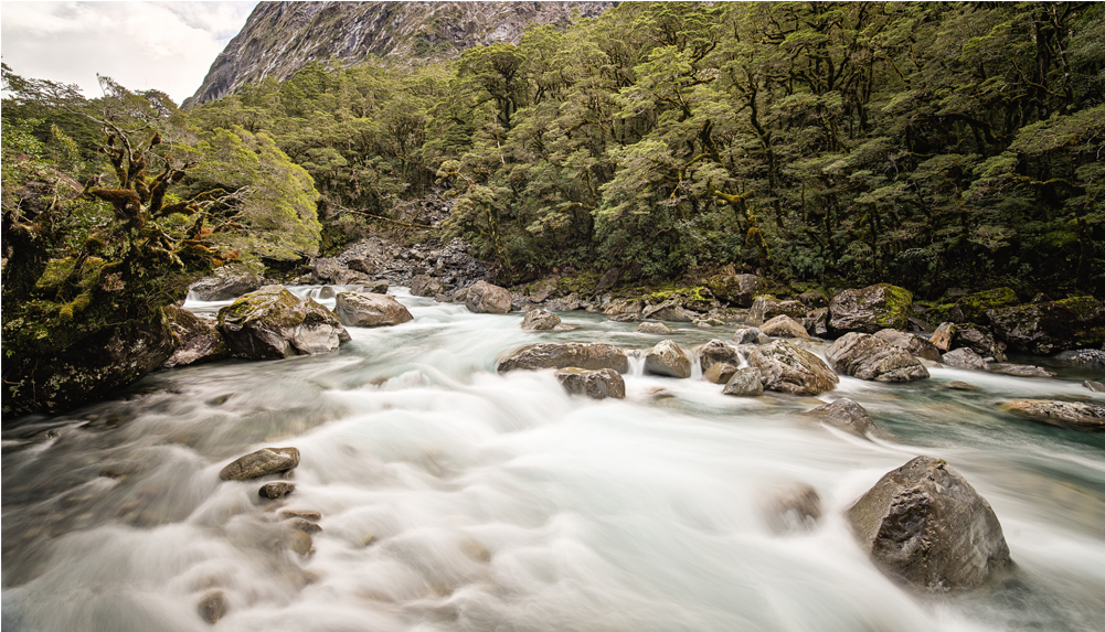 Score 50% - Tributary (1000x1000), Png Download