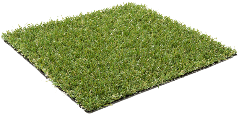 Astra Avocado - Grass Sheet (1000x563), Png Download
