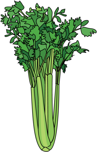 Cruciferous Vegetables (1024x668), Png Download