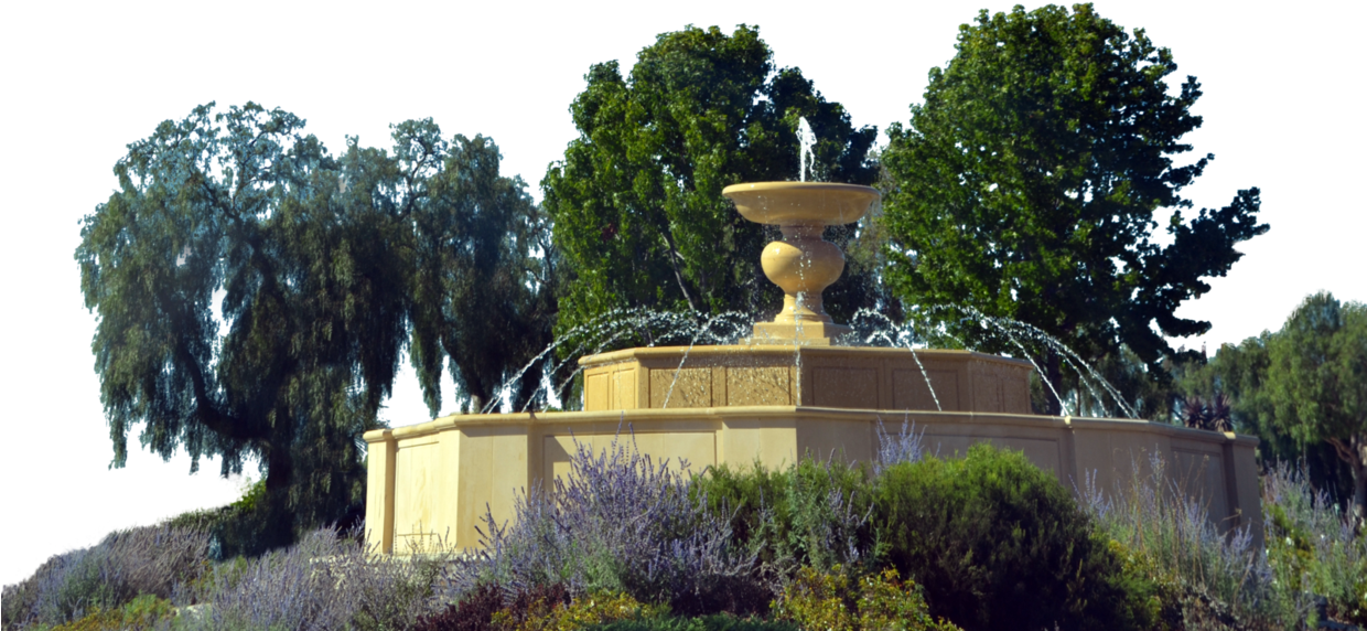 Water Fountain Png - Palm Tree (1239x645), Png Download
