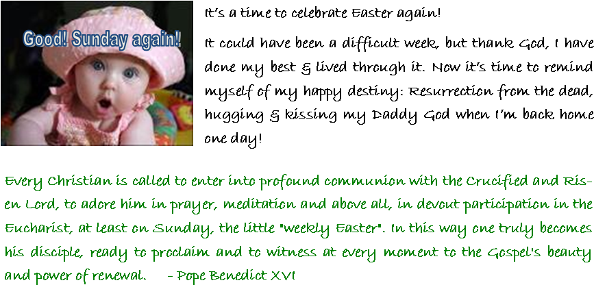 Toddler (870x448), Png Download