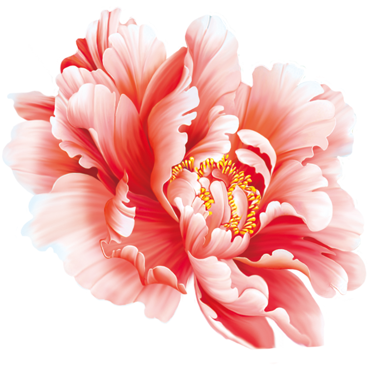 Floral Design Flower Painting In Peony Chinese - Peony Chinese Painting Png (1025x970), Png Download