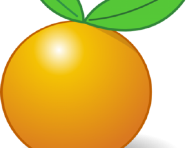 Citrus Clipart Orange Slice - Fruit (640x480), Png Download