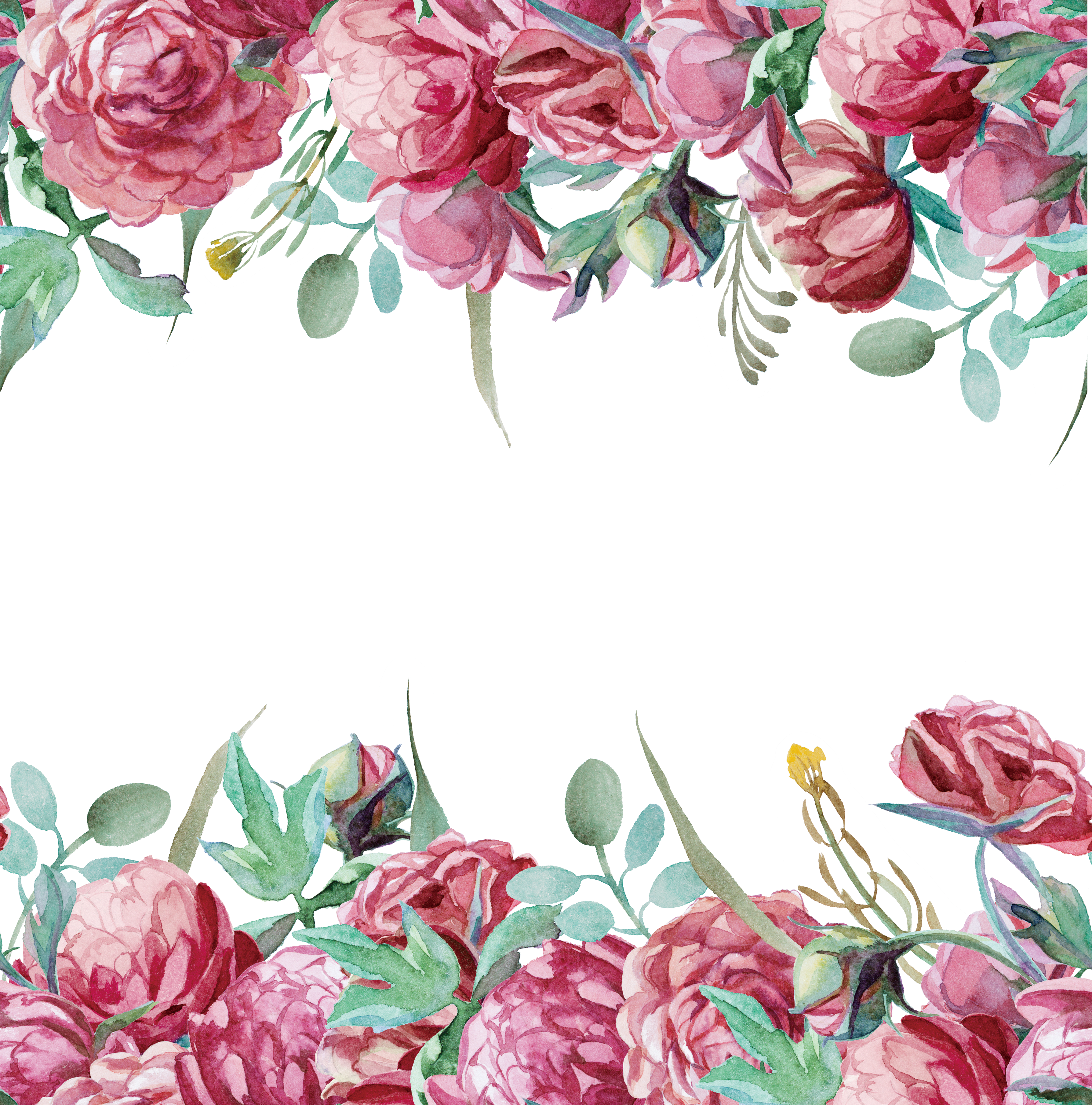 Peony Png (3601x3680), Png Download