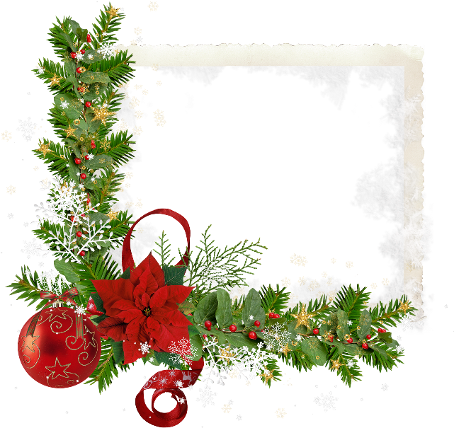 650 X 630 14 - Transparent Christmas Rose (650x630), Png Download