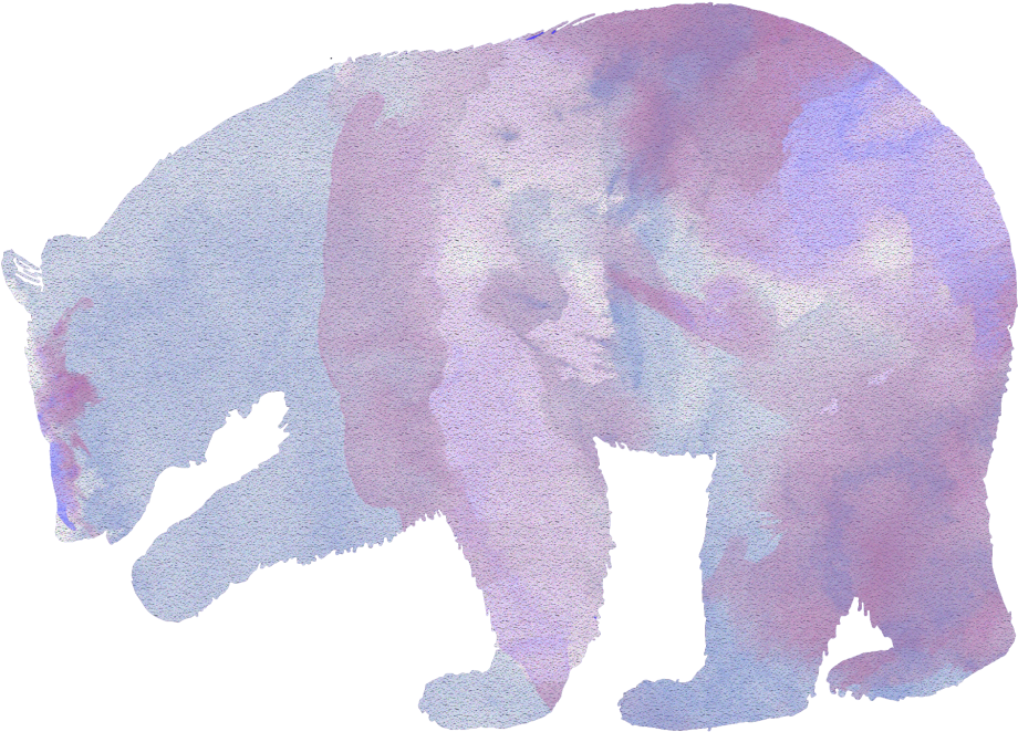 And We Examine The Rise In Human Bear Interactions, (1024x731), Png Download