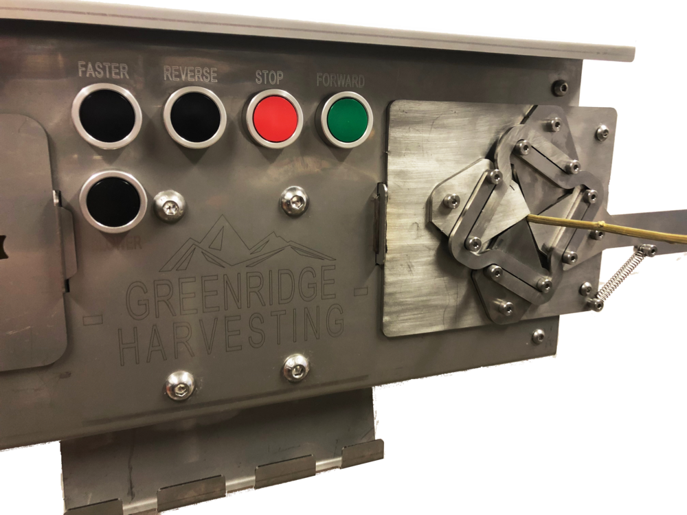 Black Bear Iris Small Stem - Electronics (1000x750), Png Download