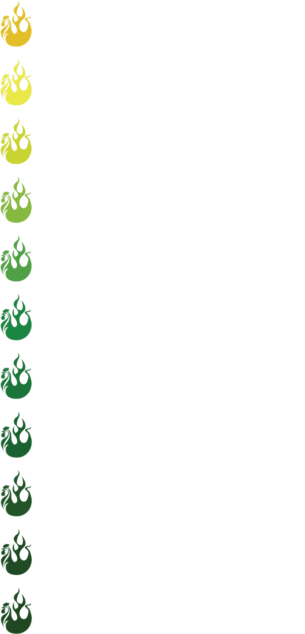 View Our Menu - Beach Bums With Lettering (640x1257), Png Download