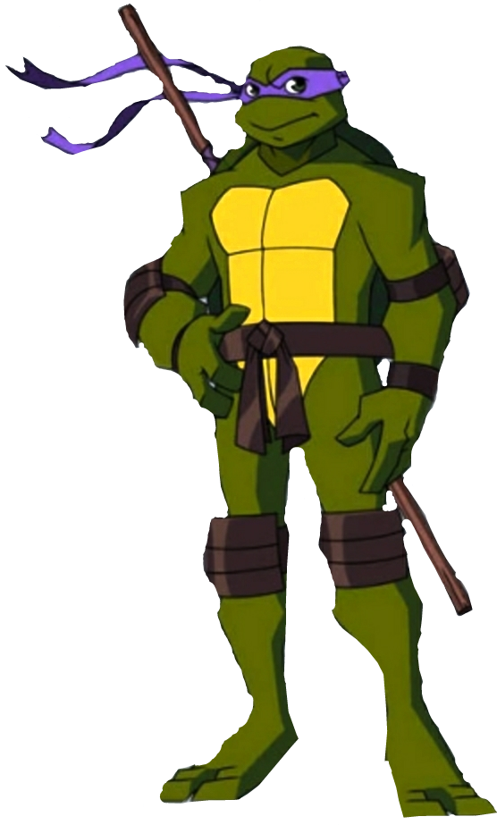Ninja Turtle Png (556x923), Png Download