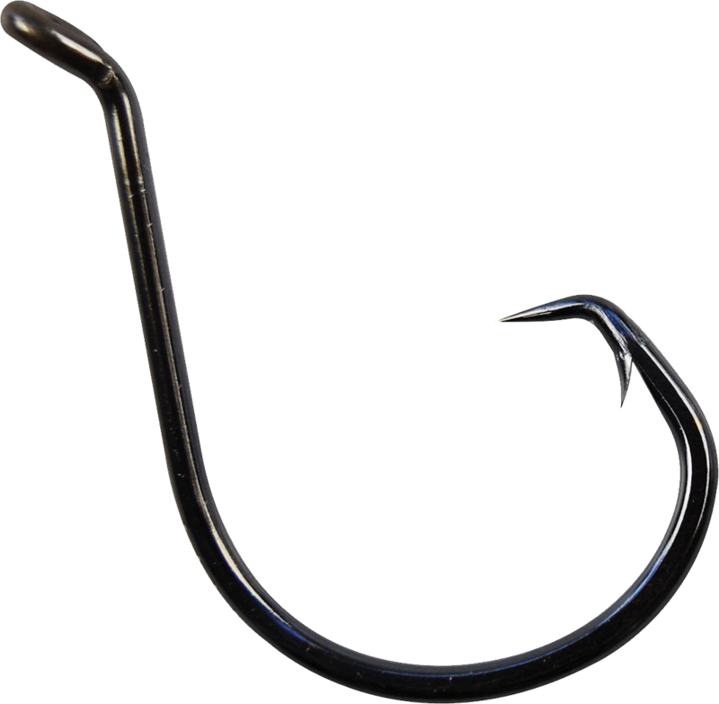 Fish Hook Png, Download Png Image With Transparent - Reptile (800x783), Png Download