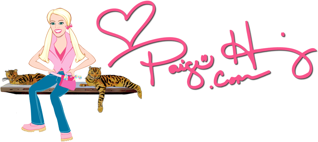 Paige Hemmis - Illustration (1228x564), Png Download