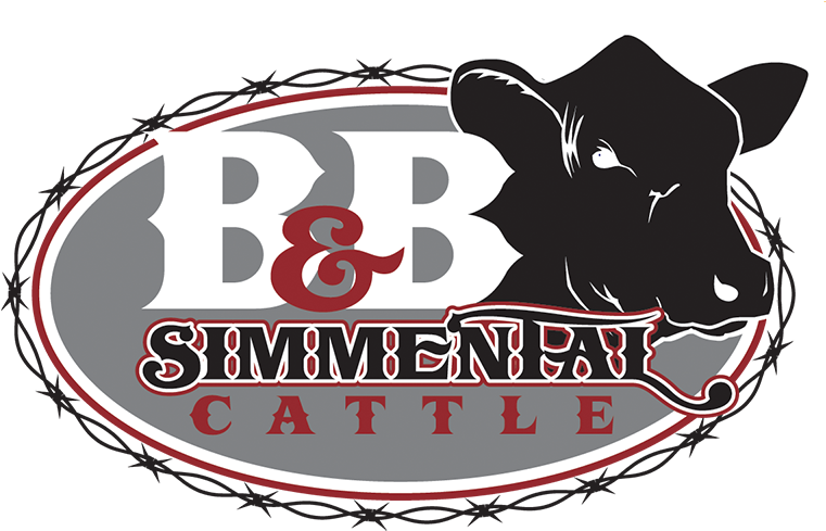 Simmental Logos (800x500), Png Download