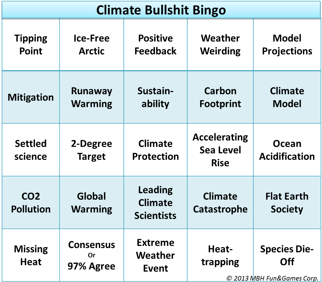 Climate Bullshit Bingo Hottest Game In Town Now All - Bullshit Bingo (1132x1019), Png Download