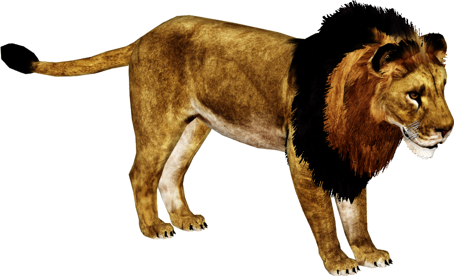 M4 Png (918x918), Png Download