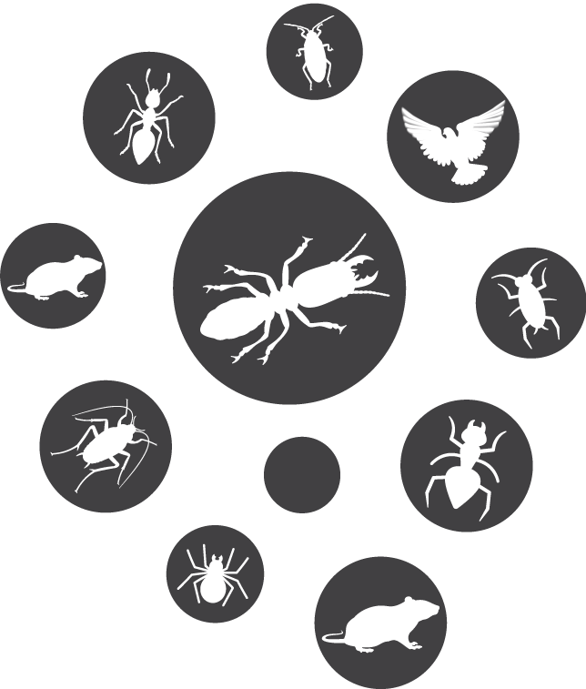 Pest Circle Icons - Pest Control Icon Png (644x757), Png Download